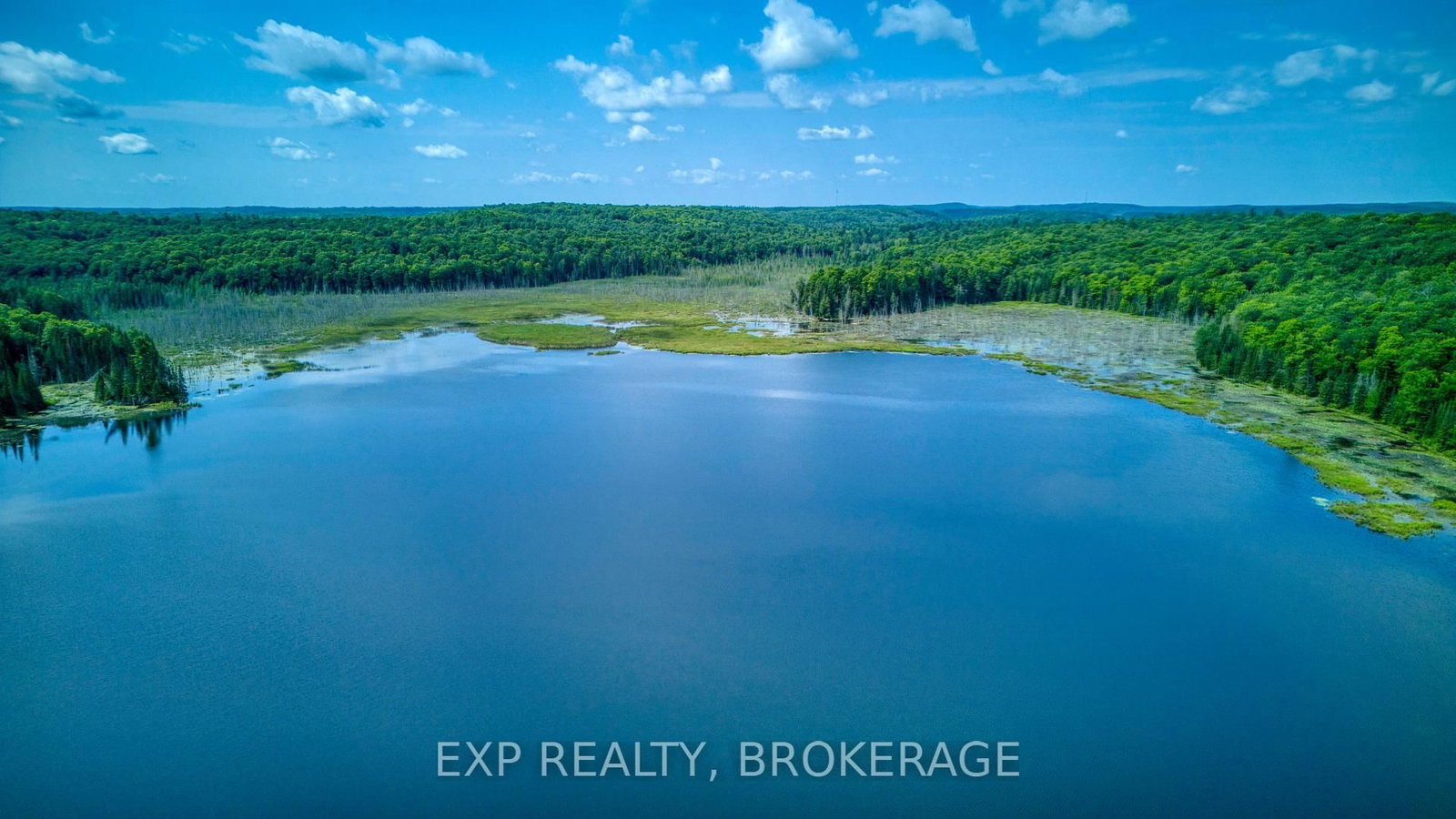 1427 LEWIS Road • Mountain Grove, ON photo 49