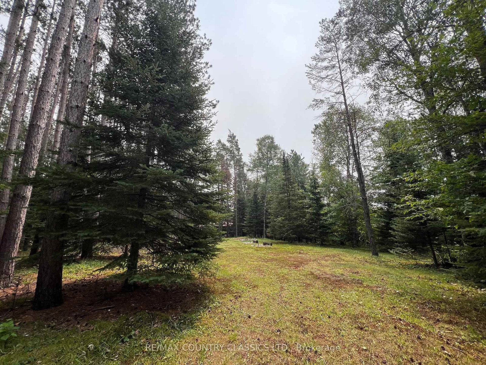 24 Firehall Lane • Bancroft, ON photo 39