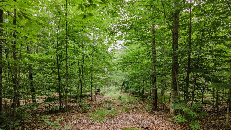 0 Peplinskie Road