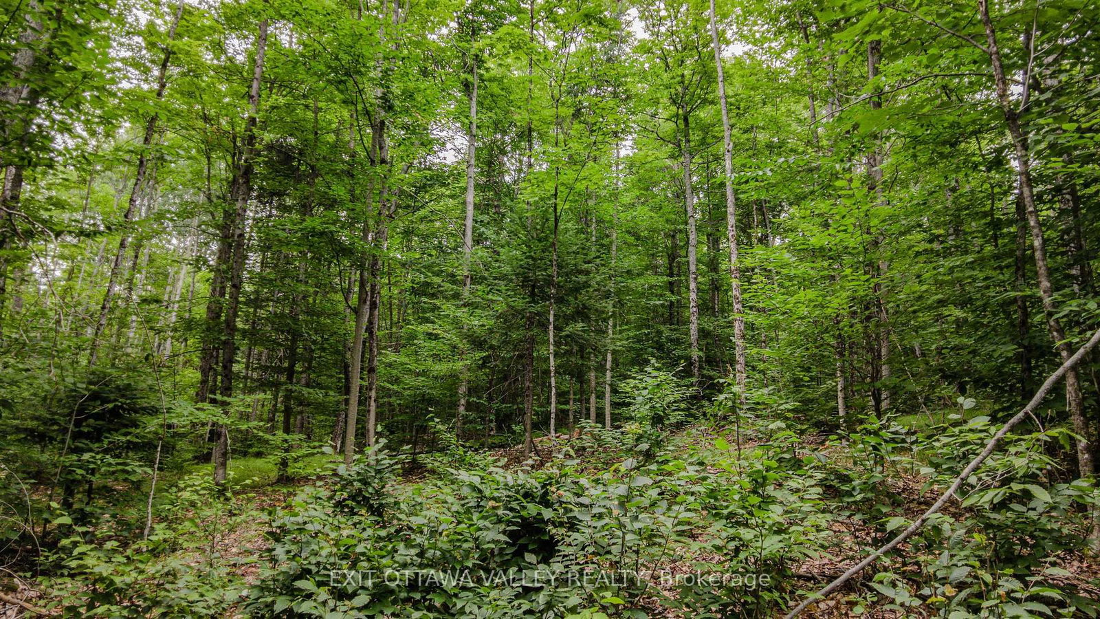 0 Peplinskie Road • Combermere, ON photo 11