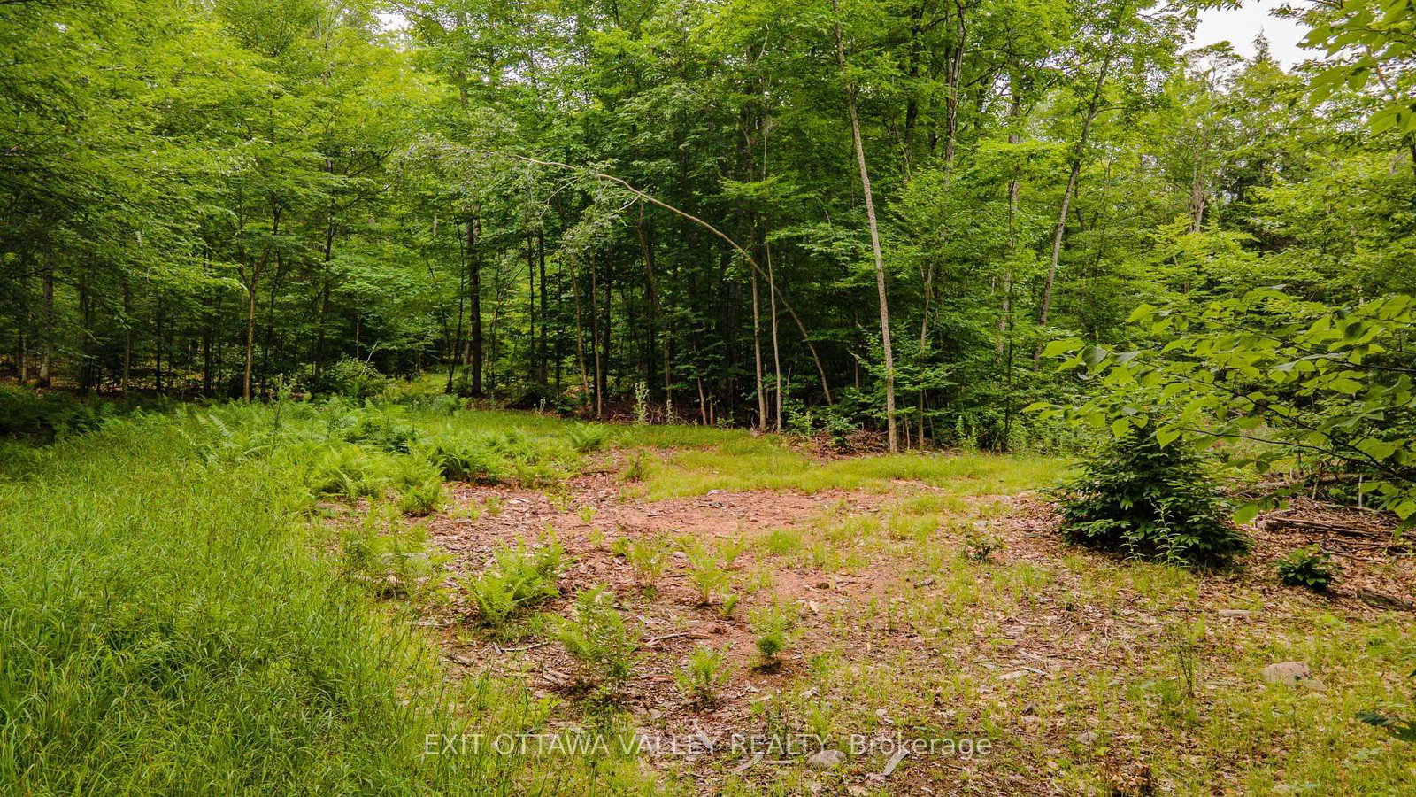 0 Peplinskie Road • Combermere, ON photo 12