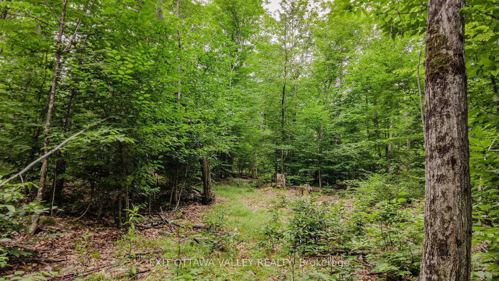 0 Peplinskie Road • Combermere, ON photo 13