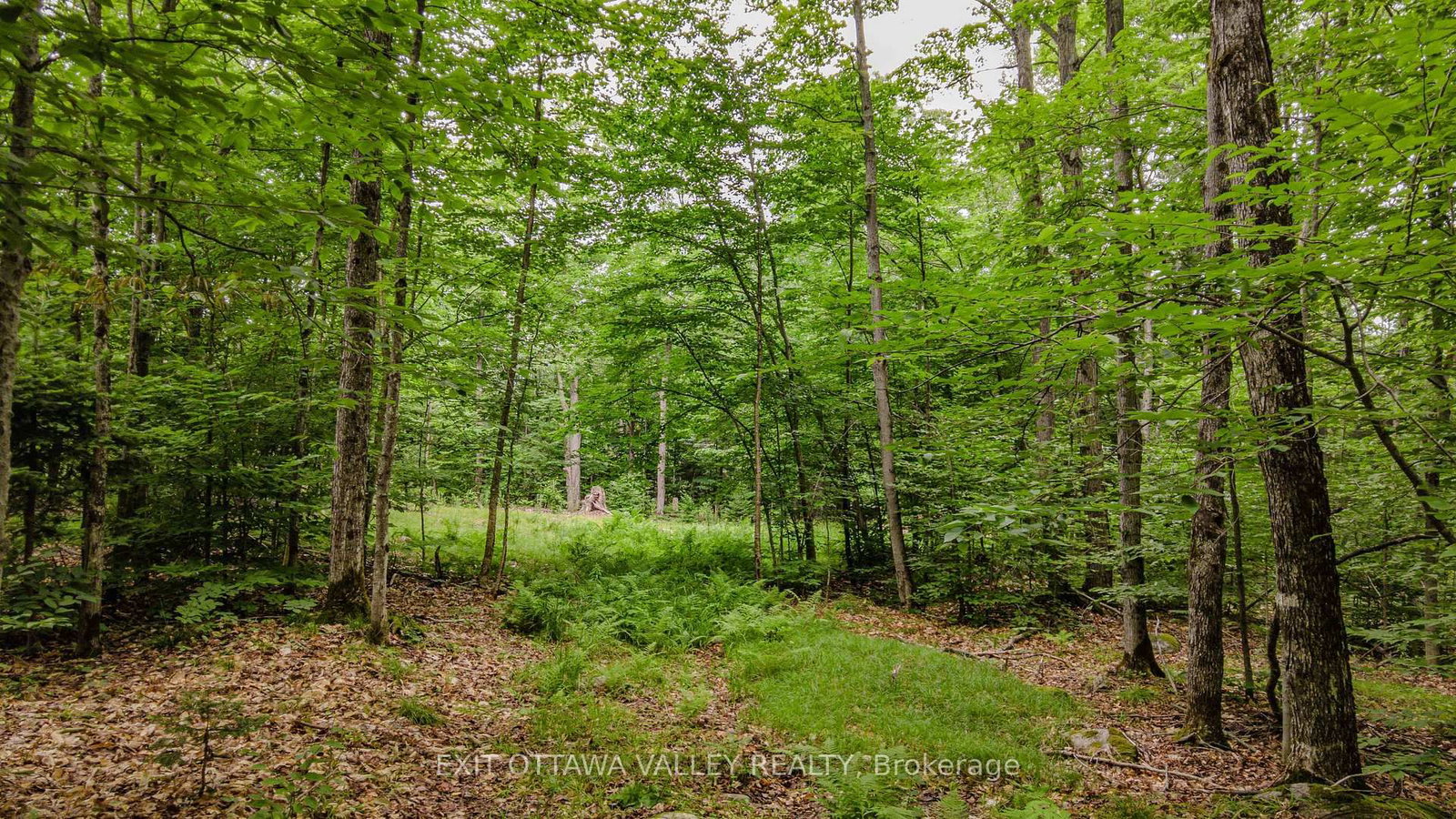 0 Peplinskie Road • Combermere, ON photo 14