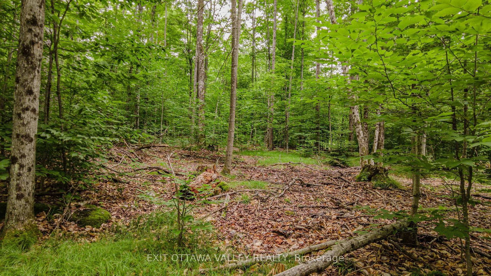 0 Peplinskie Road • Combermere, ON photo 15