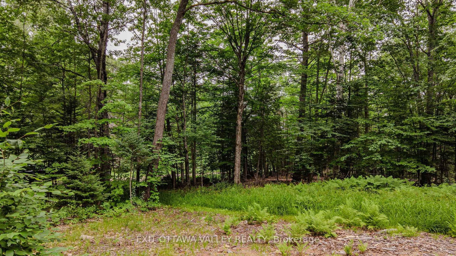 0 Peplinskie Road • Combermere, ON photo 18