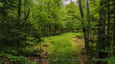 0 Peplinskie Road • Combermere, ON photo 3