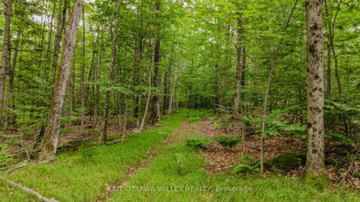 0 Peplinskie Road • Combermere, ON photo 5
