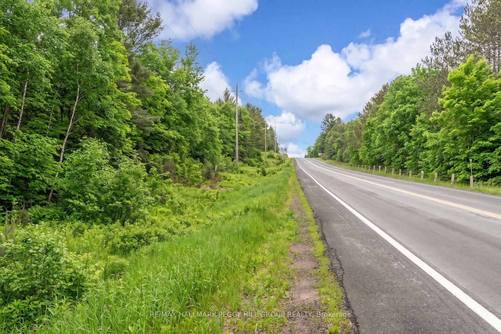 0 County Road 121 • Minden Hills, ON photo 2
