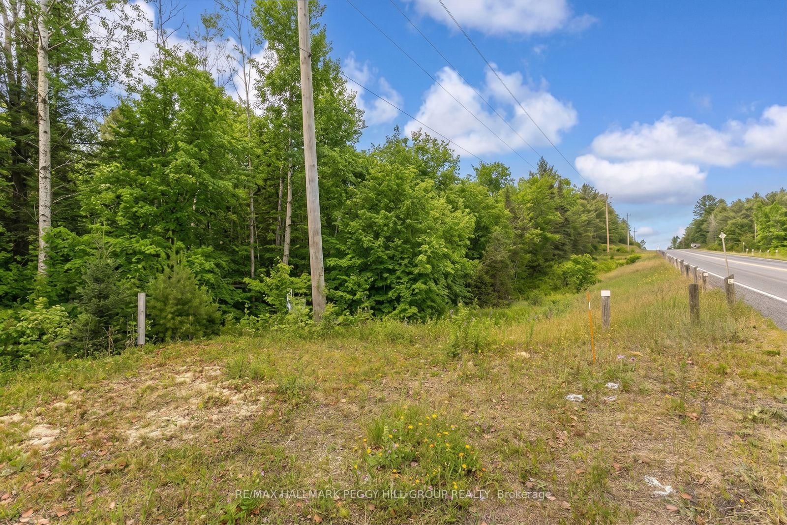 0 County Road 121 • Minden Hills, ON photo 3