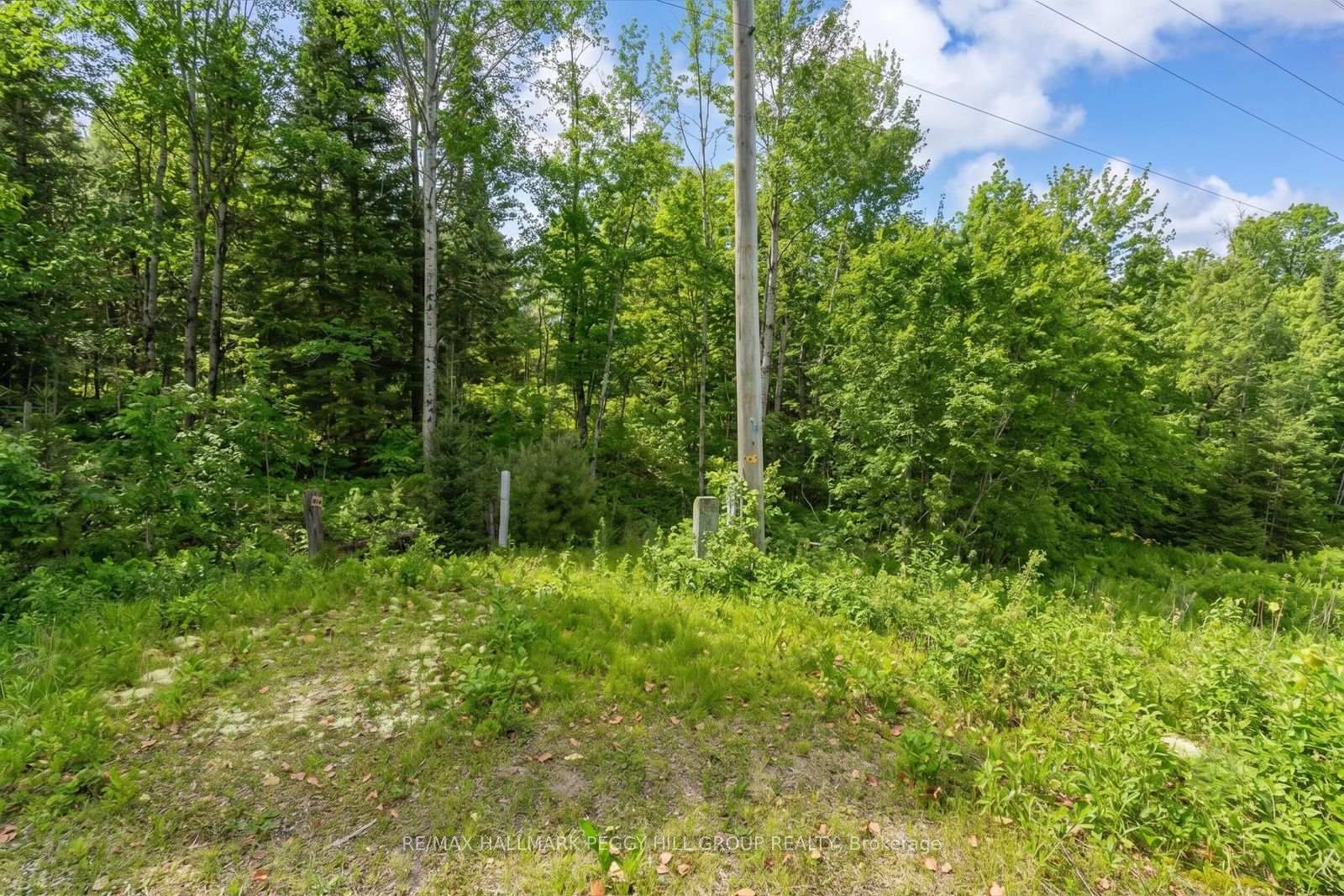 0 County Road 121 • Minden Hills, ON photo 4