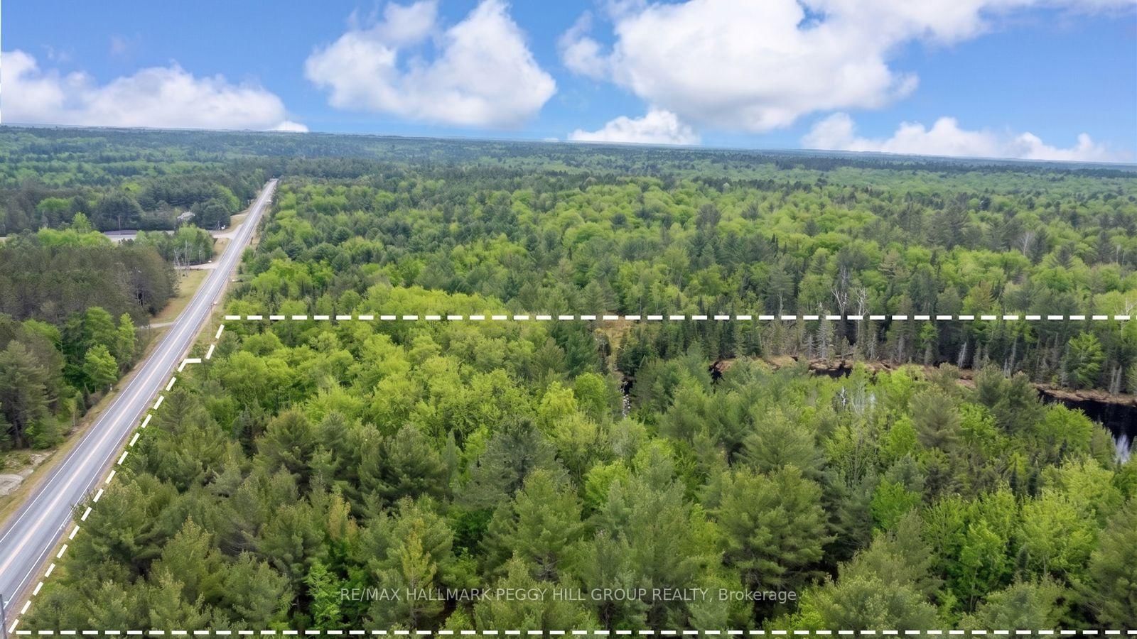 0 County Road 121 • Minden Hills, ON photo 5