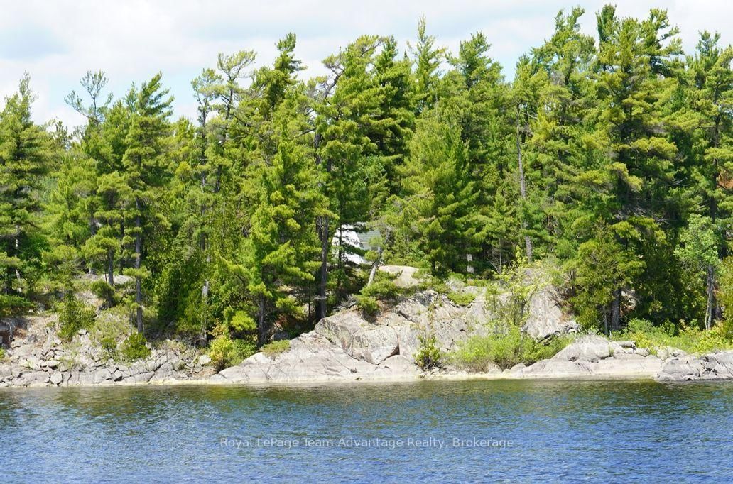 TP3411 ISLAND FRENCH RIVER • French River, ON photo 28