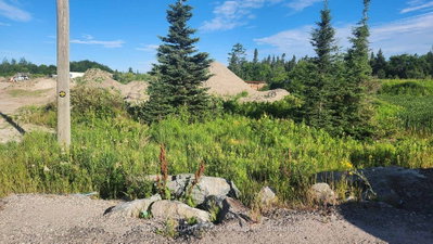 Land for sale at LOT 21 HIGHWAY 11 Avenue, North Bay, Ontario, P1B 8G3 - College Heights - MLS: X13571866