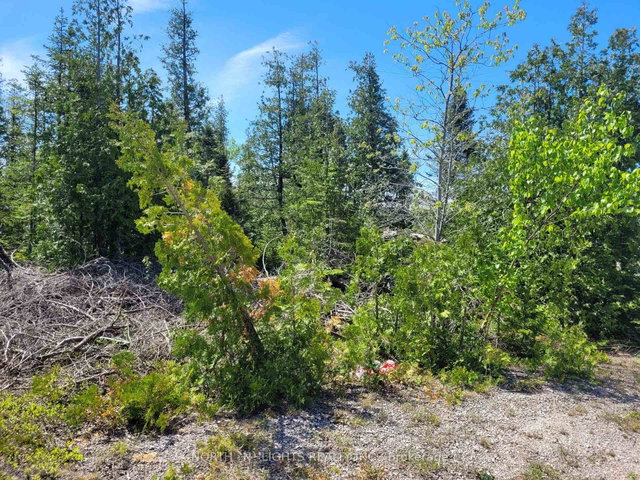 PT LOT 26 CON 8 SADLER CREEK Road E