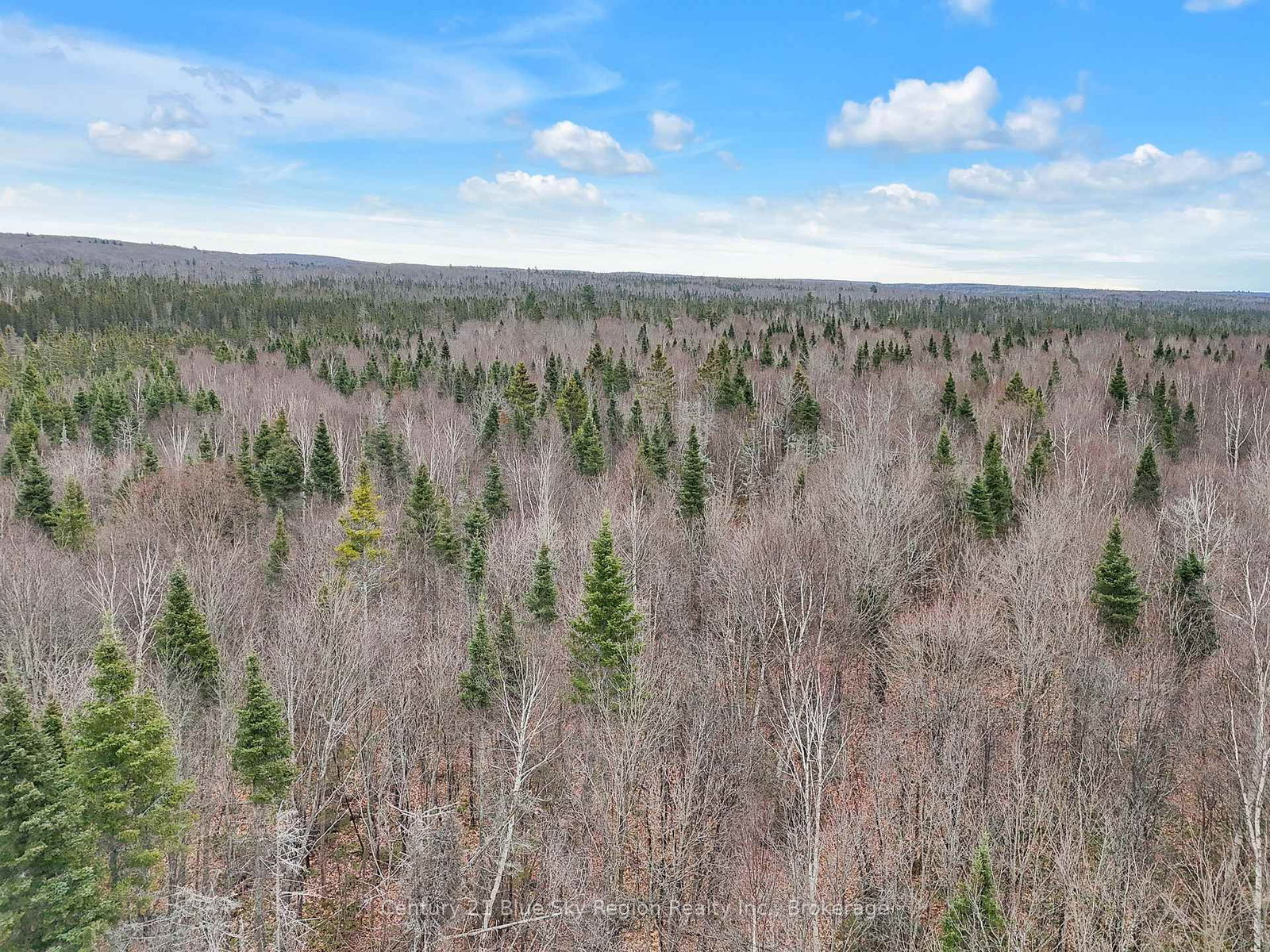 Lot 19 Conc 5 and Conc 6 Road • North Bay, ON photo 15
