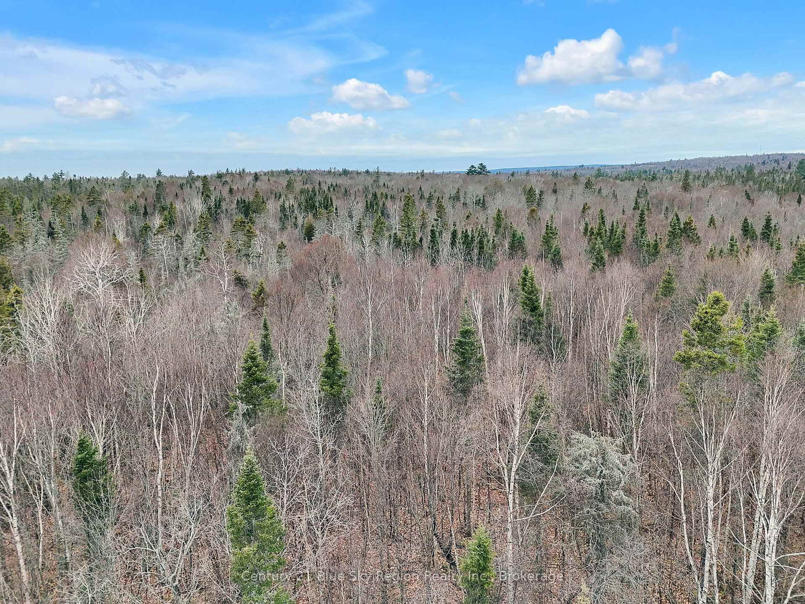 Lot 19 Conc 5 and Conc 6 Road • North Bay, ON photo 16