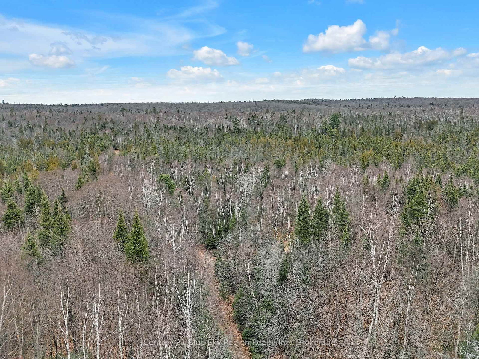 Lot 19 Conc 5 and Conc 6 Road • North Bay, ON photo 17