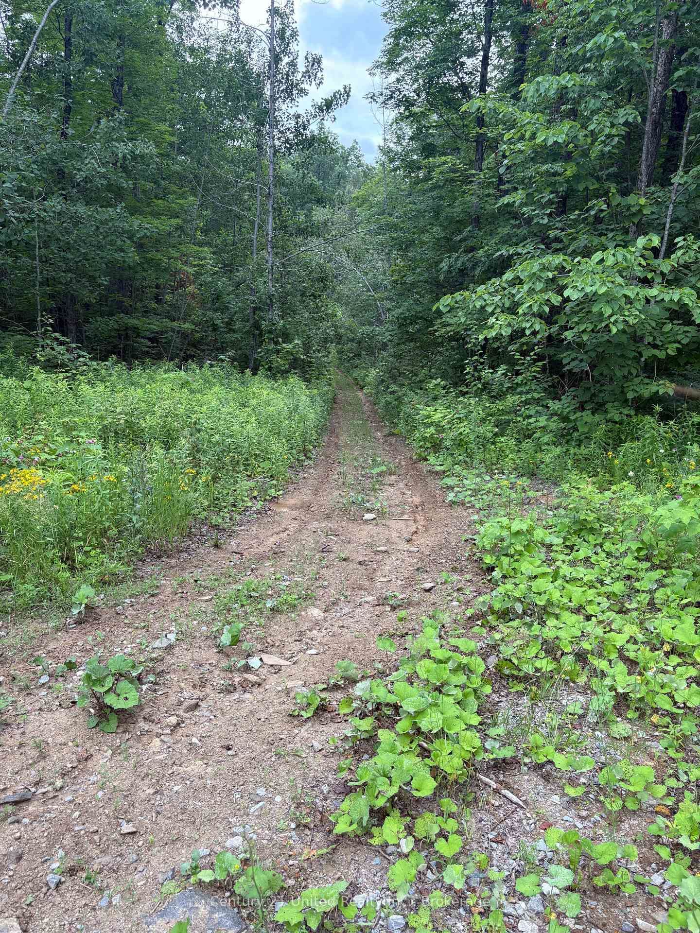 1508 Fortesque Lake Road • Highlands East, ON photo 26
