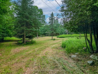 97 W Carling Bay Road • Carling, ON photo 9