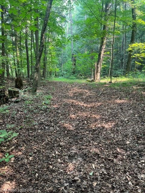 home for sale on 00 Highway 24 Highway