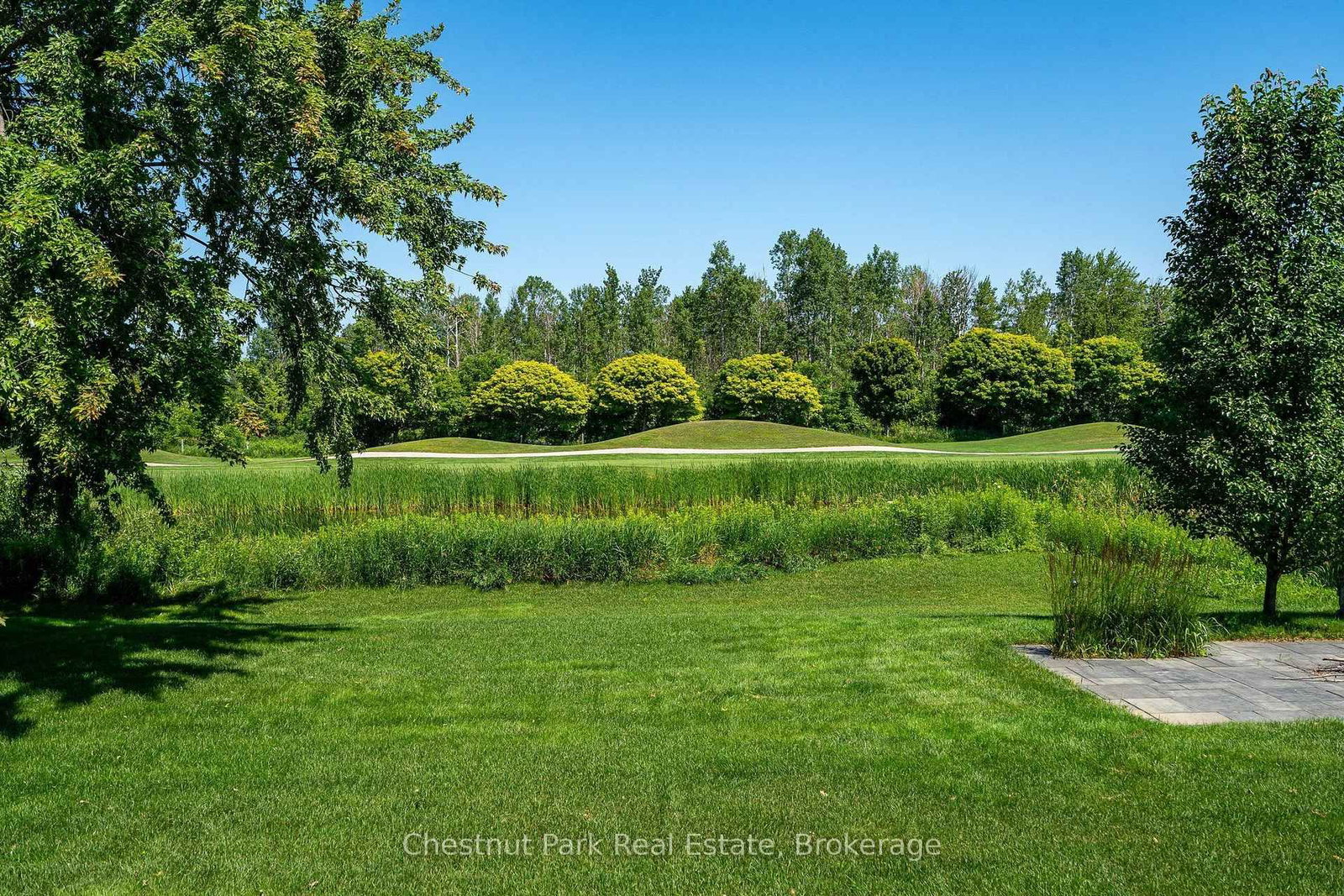 131 Grand Cypress Lane • Blue Mountains, ON photo 8