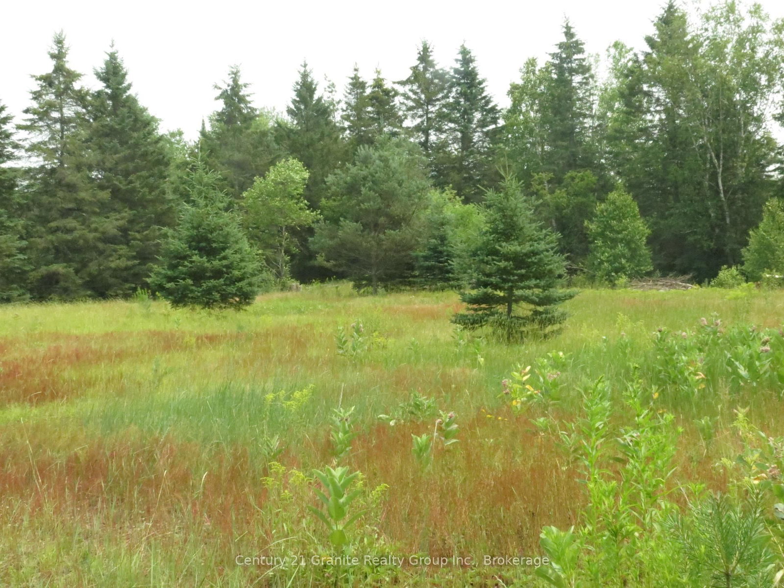 1060 Buttercup Drive • Highlands East, ON photo 10