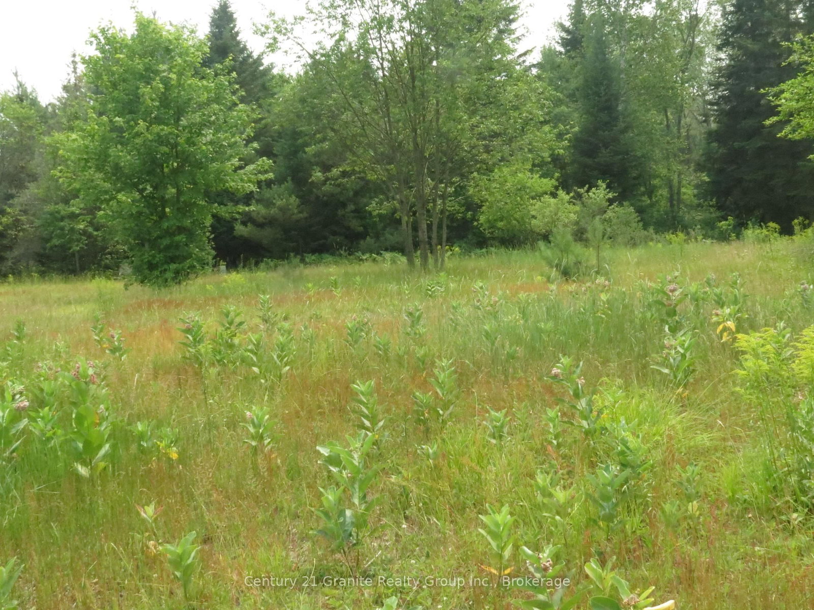 1060 Buttercup Drive • Highlands East, ON photo 11