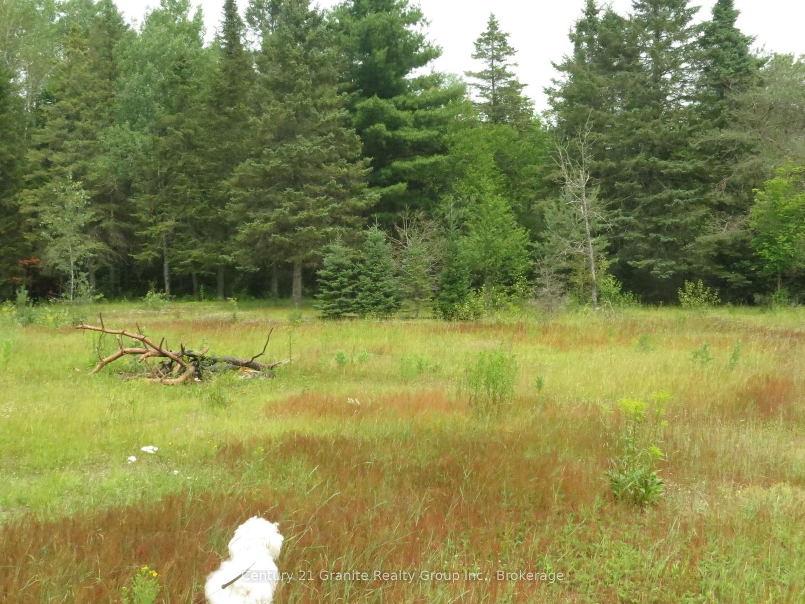 1060 Buttercup Drive • Highlands East, ON photo 12