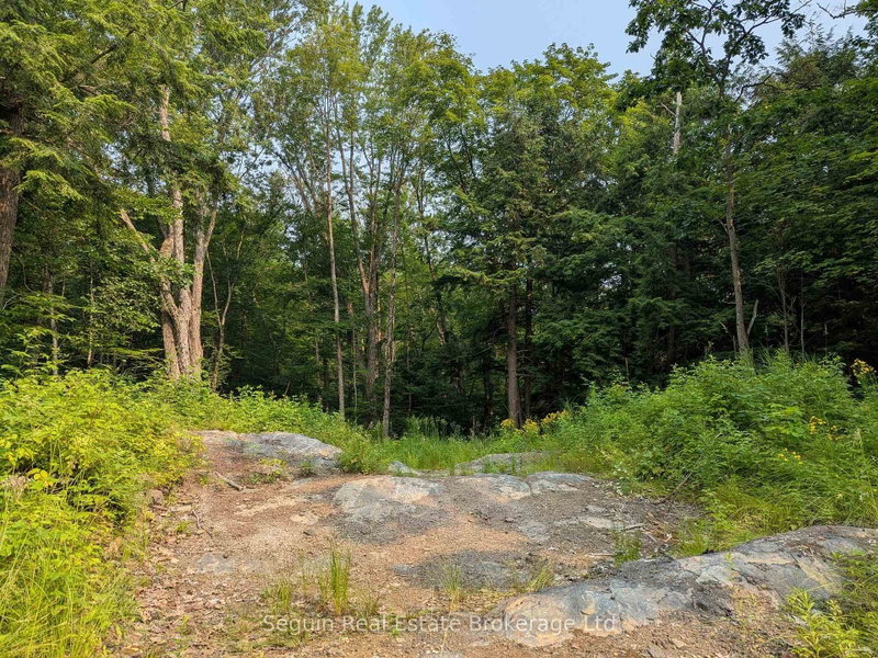 31 Pinewood Drive