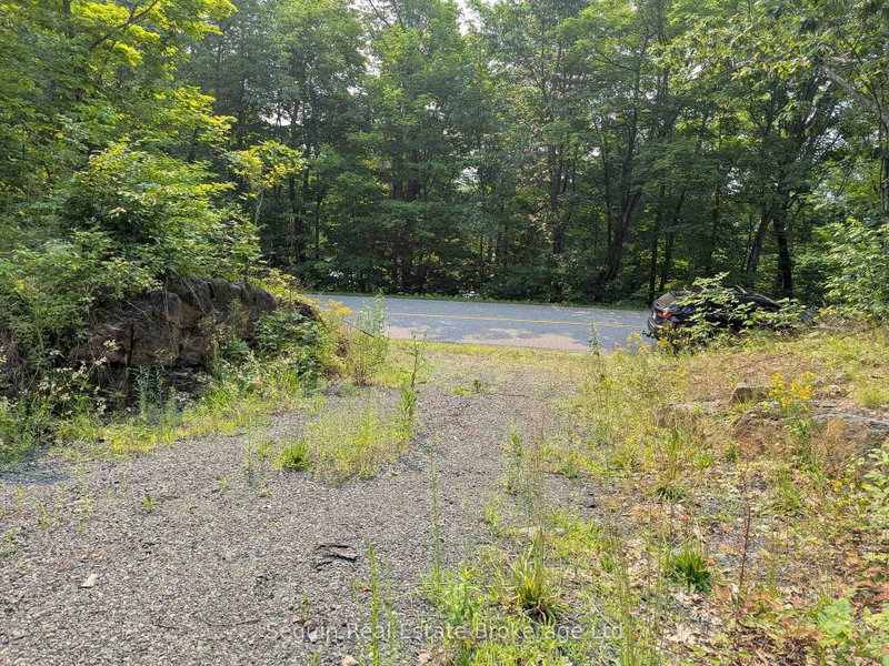 31 Pinewood Drive
