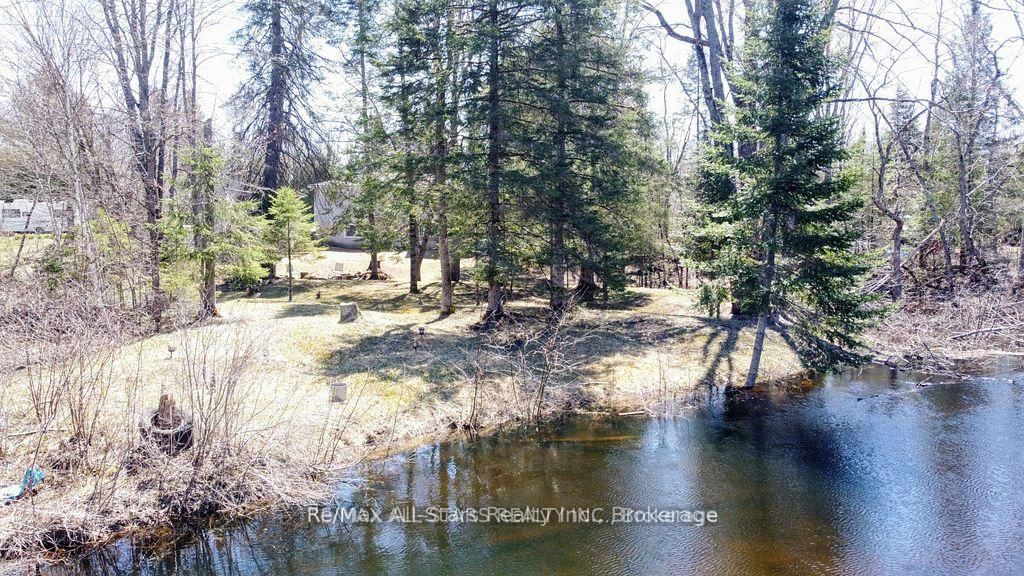 161 McFadden Road • North Kawartha, ON photo 17