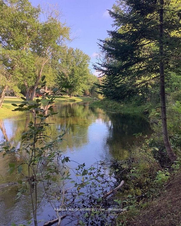 161 McFadden Road • North Kawartha, ON photo 19