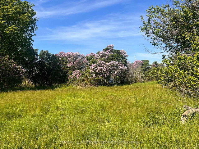 LOT 17 SOUTH SHORE Road