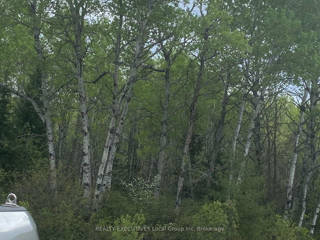 LOT 33 RUTHERGLEN Line