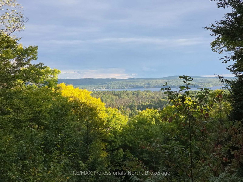 364 FORESTRY TOWER Road