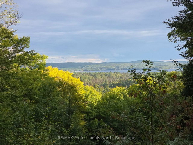 364 FORESTRY TOWER Road
