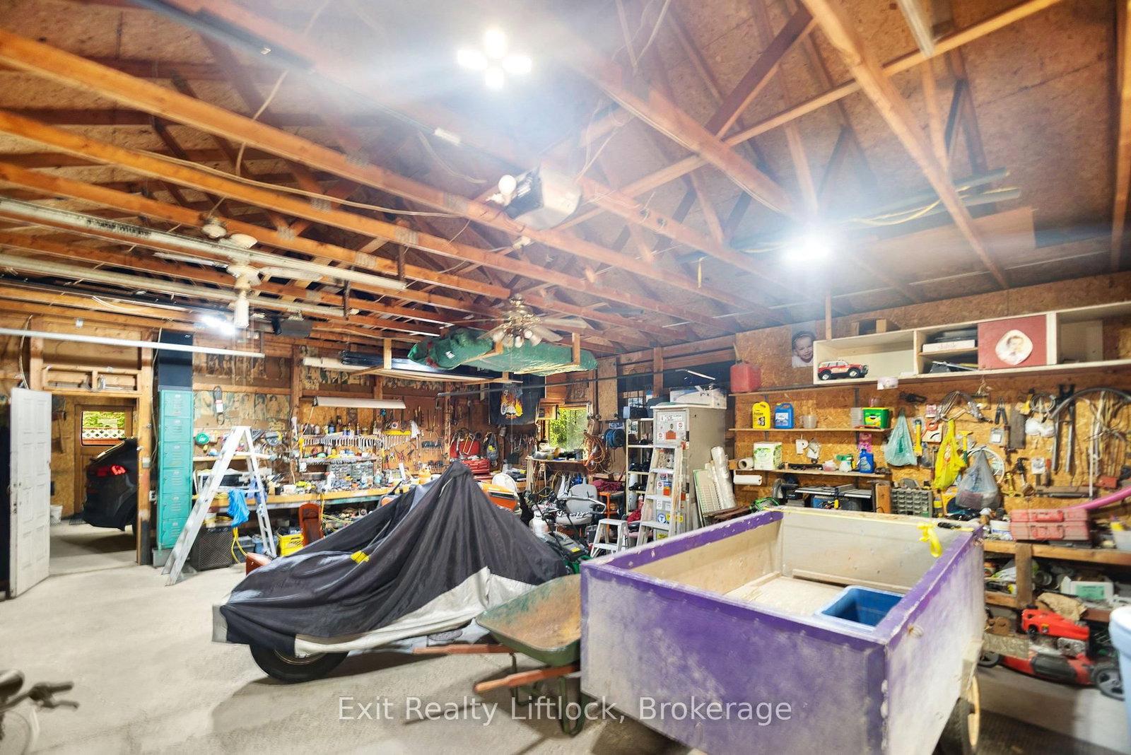 2 Edgewood Avenue • Douro-Dummer, ON photo 34