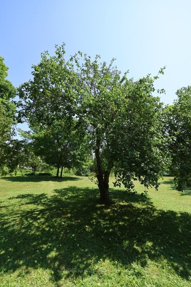 52 Elizabeth Street • Trent Hills, ON photo 36
