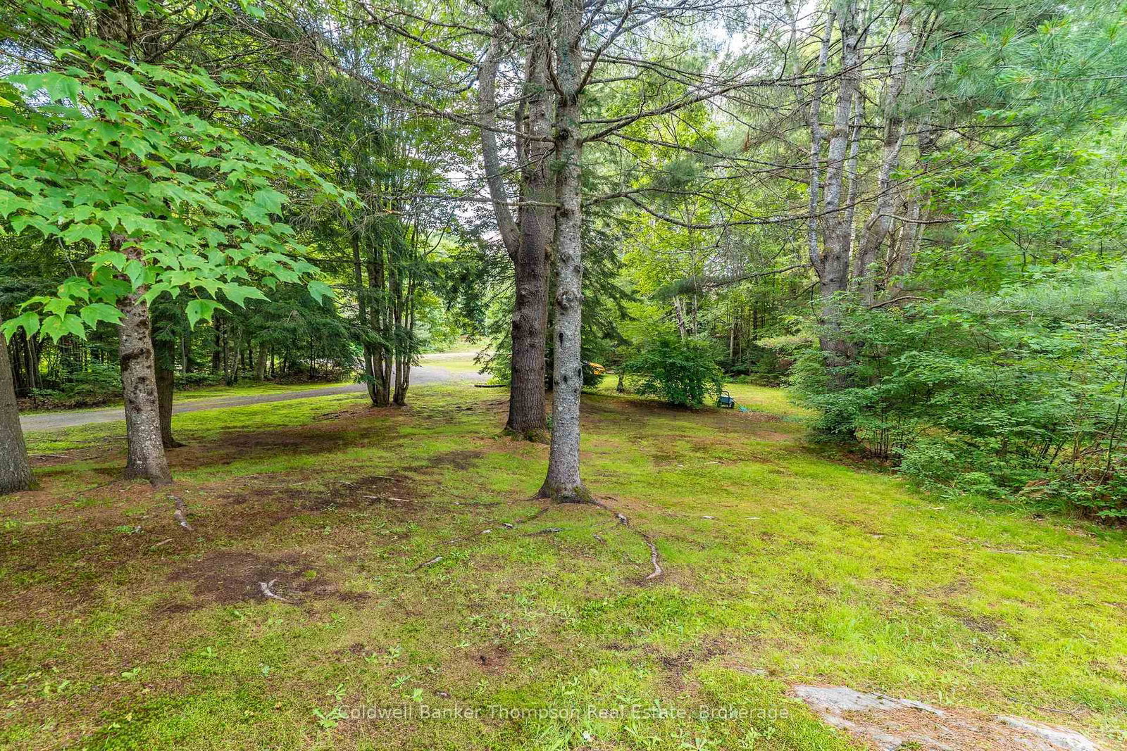 68 Stephenson. 2 Road E • Huntsville, ON photo 16
