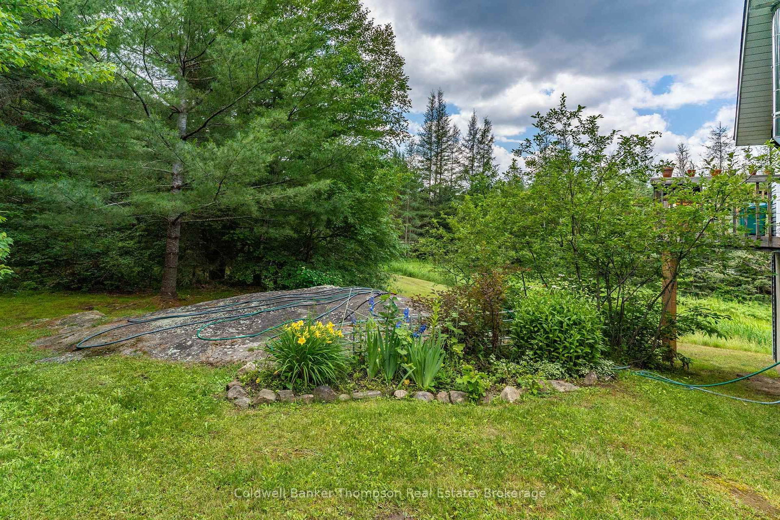 68 Stephenson. 2 Road E • Huntsville, ON photo 17