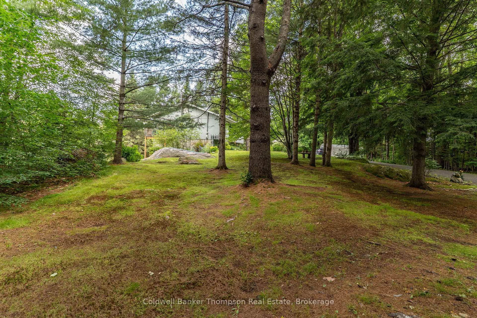 68 Stephenson. 2 Road E • Huntsville, ON photo 18