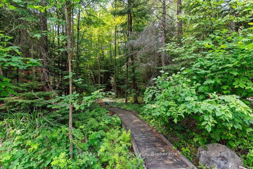 1010 Leblanc Trail • Dysart et al, ON photo 32
