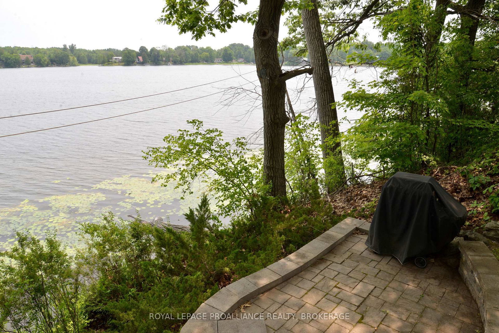 6079 Carleton Drive • Verona, ON photo 3