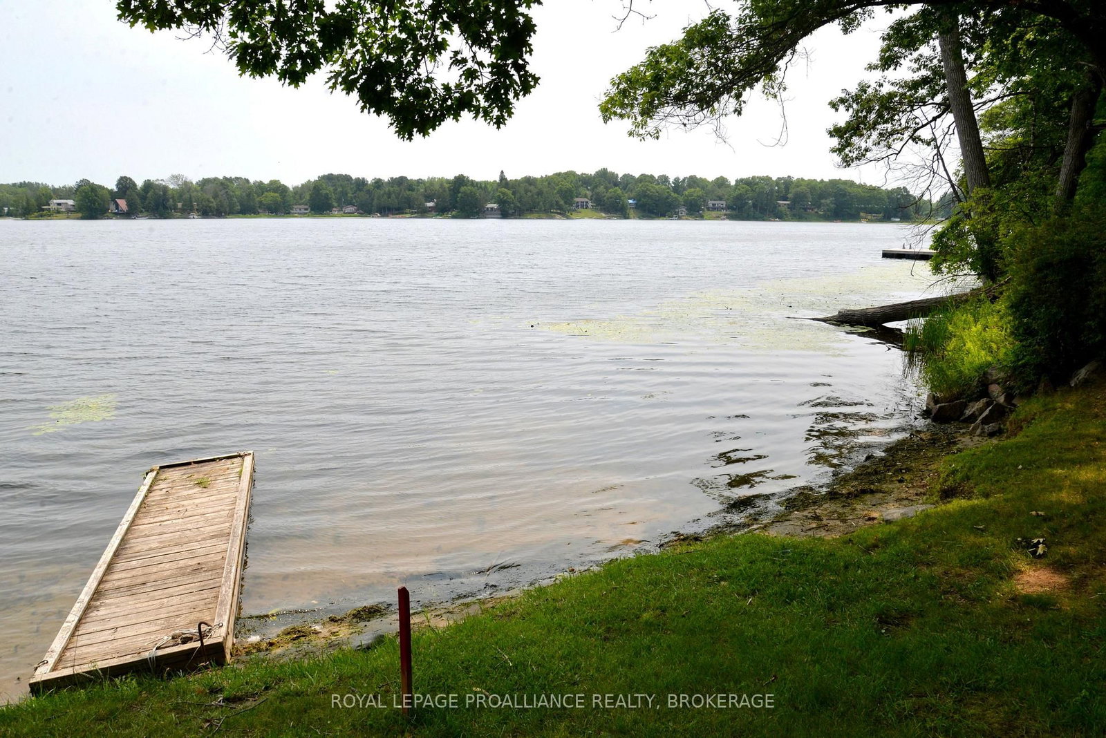 6079 Carleton Drive • Verona, ON photo 4