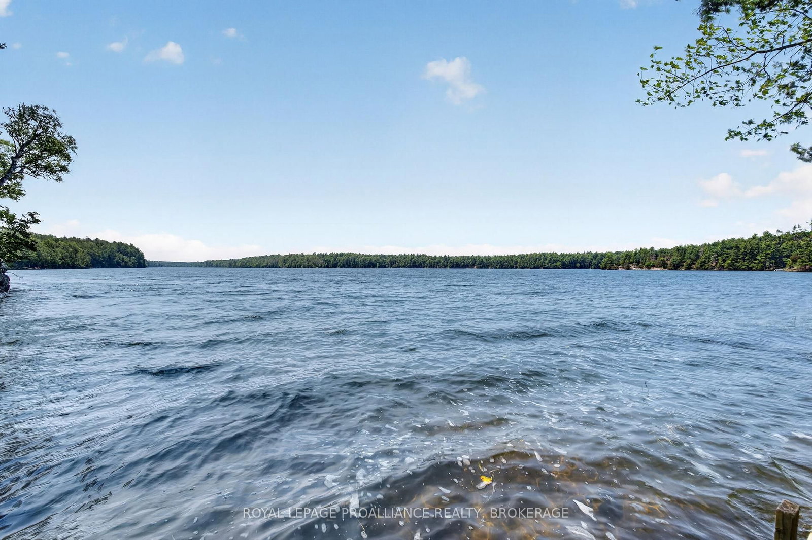 1135 Twin Island Lane • Perth Road, ON photo 23