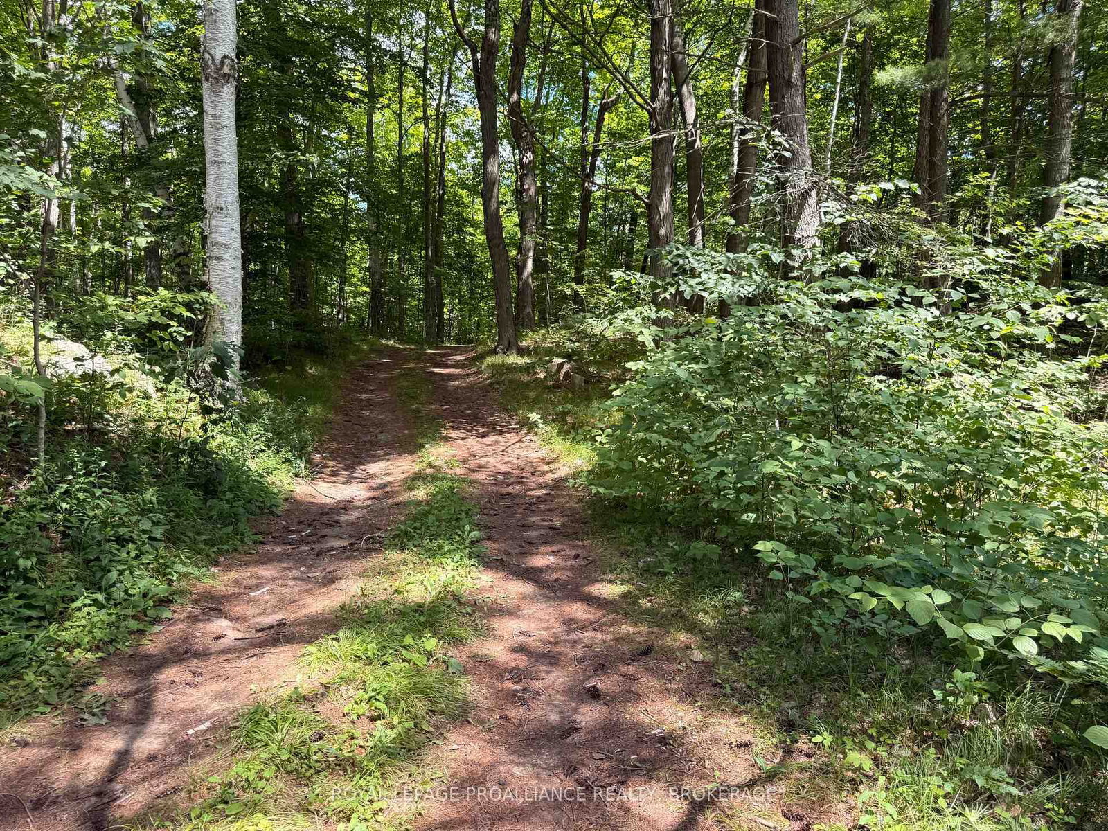 1135 Twin Island Lane • Perth Road, ON photo 32