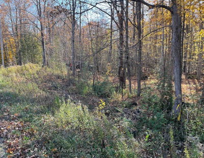 Part Lot 17 E Grey Road 17 Road • Georgian Bluffs, ON photo 4