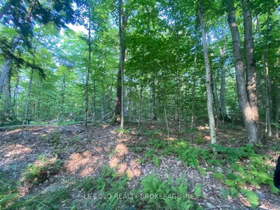 Vacant Land for lease at Lot # 7-1310 Camel Lake Road, Muskoka Lakes, Ontario, P1L 1X4 - Watt - MLS: X13580136