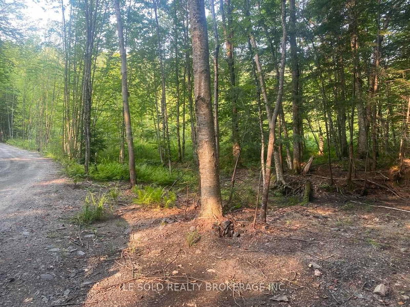 Lot # 7 - 1310 Camel Lake Road