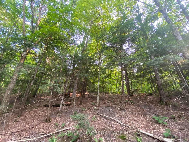 Lot # 7 - 1310 Camel Lake Road